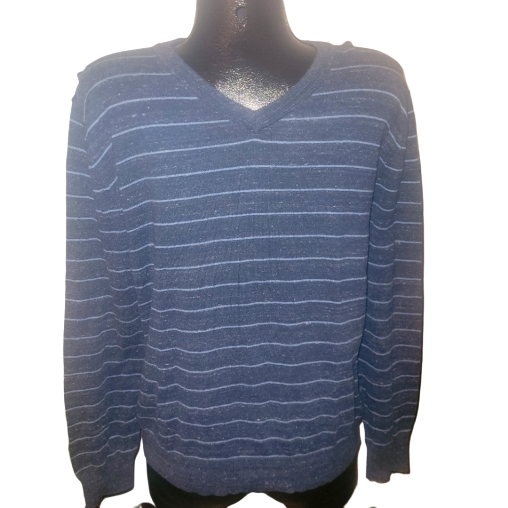 Gap Mens Blue V Neck Striped Preppy Sweater Size M